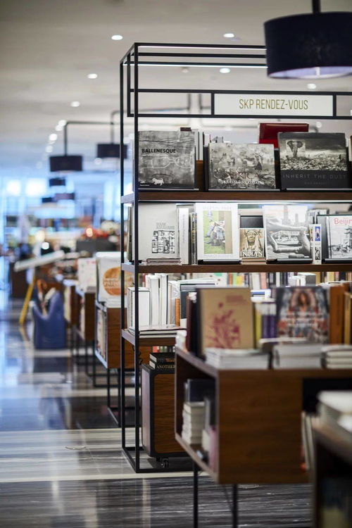 rdv时间 北京 李敬泽 李壮 刘诗宇 拉松没有马,评论不是家