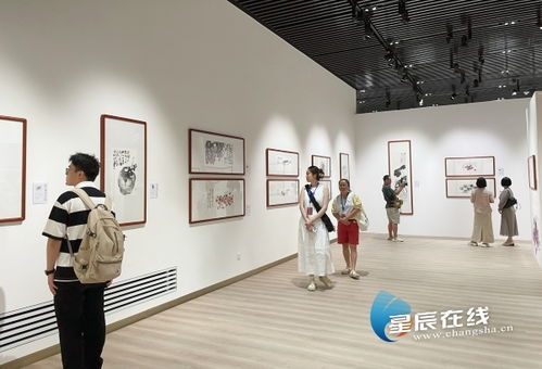 近百件艺术精品展现墨韵里的乡愁 湘籍画家苏高宇作品展在长沙开幕