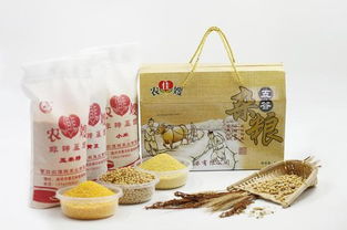 农佳嫂 营口特产和文化艺术品鉴会明星产品