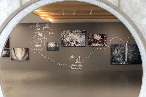 向西 聚焦松江 从艺术角度进入城市肌理与人文