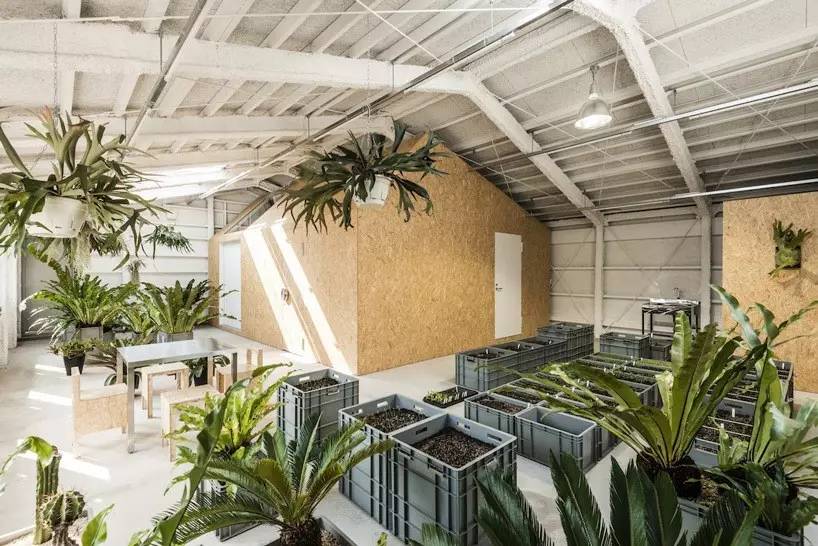 工厂改造为艺术家工作室_文化_网