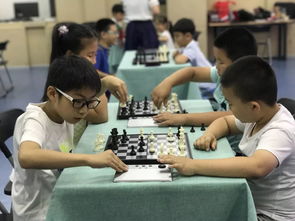 2019年泰达文化艺术中心秋季班报名开始拉