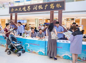 松江最好玩的时候到了 2019盛夏狂欢季重磅来袭