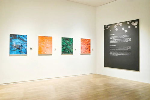 奇观 科学艺术展在光明文化艺术中心美术馆开幕