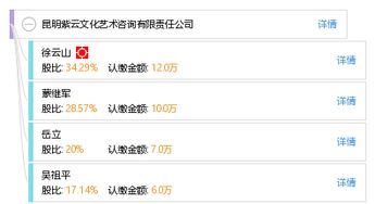 昆明紫云文化艺术咨询有限责任公司 企业管理咨询的专业服务