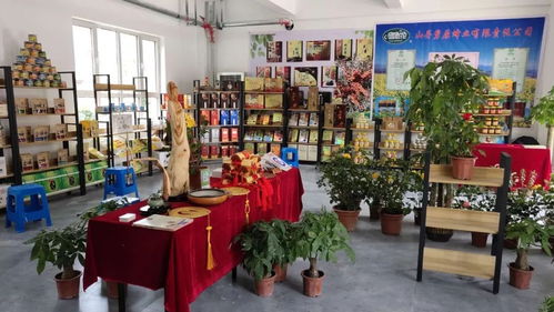 我县文化精品闪耀张掖敦煌写经书法艺术节