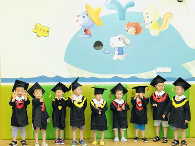 树袋熊文化艺术咨询 融合创意与管理智慧的企业成长之道